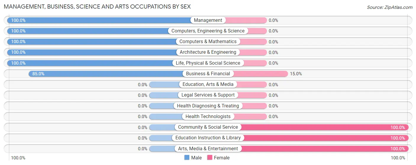 Management, Business, Science and Arts Occupations by Sex in Nelliston