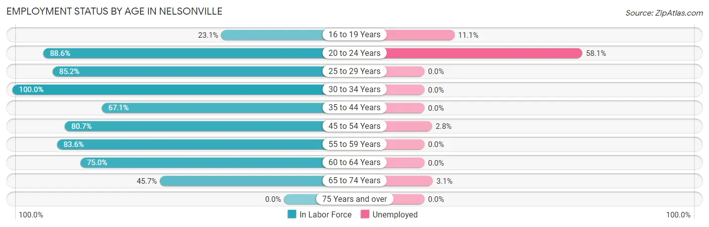 Employment Status by Age in Nelsonville