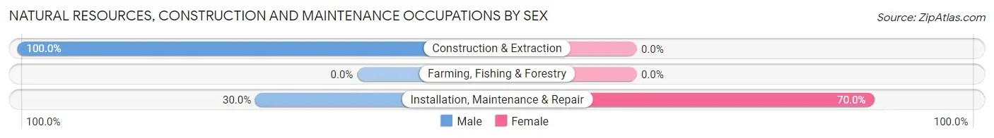 Natural Resources, Construction and Maintenance Occupations by Sex in Nelsonville