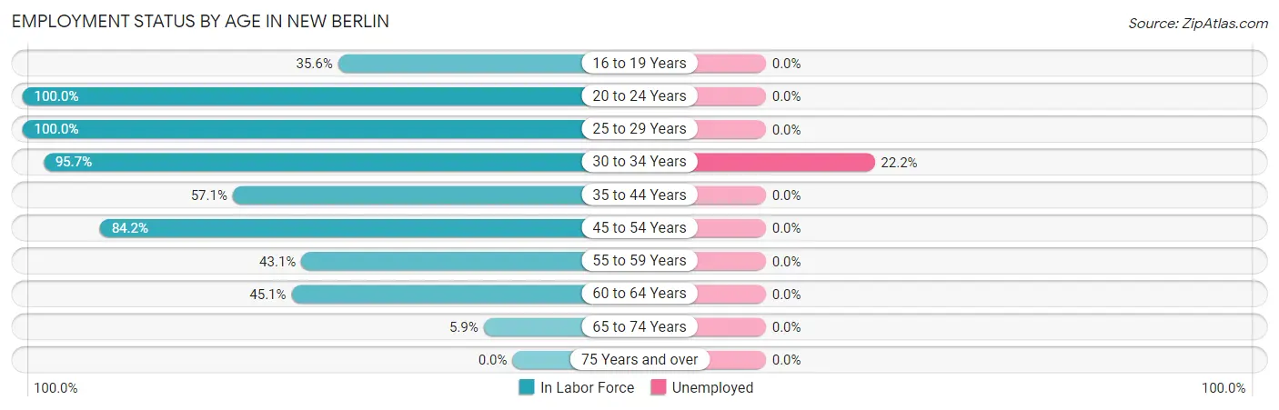 Employment Status by Age in New Berlin