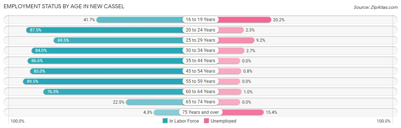 Employment Status by Age in New Cassel