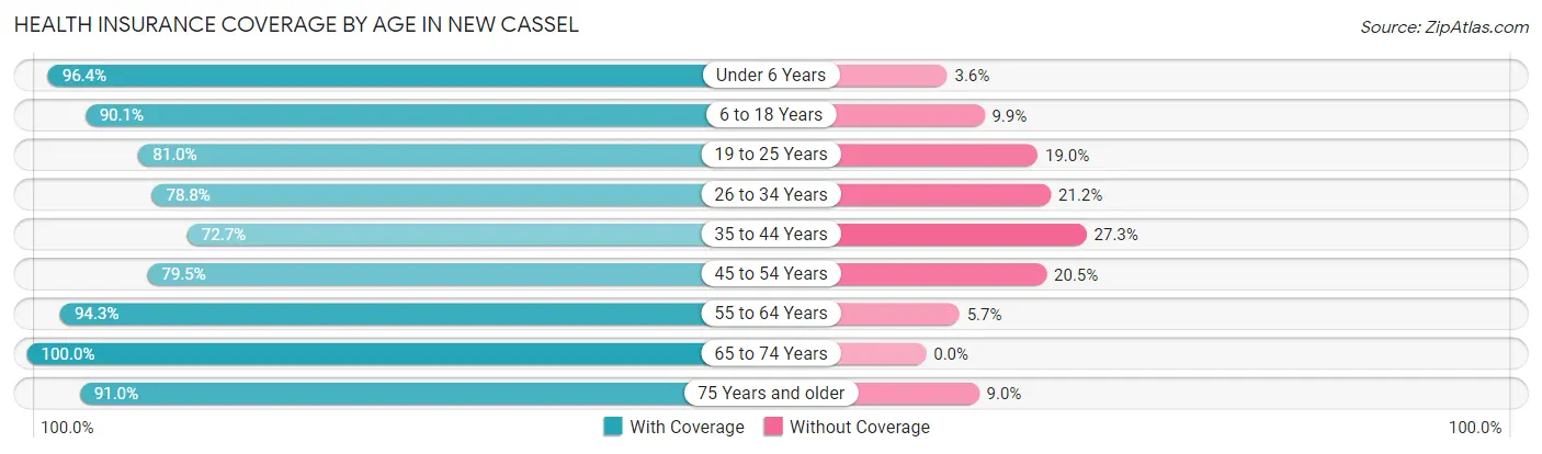 Health Insurance Coverage by Age in New Cassel