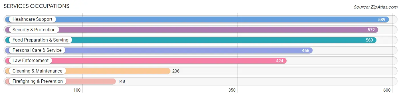 Services Occupations in New City