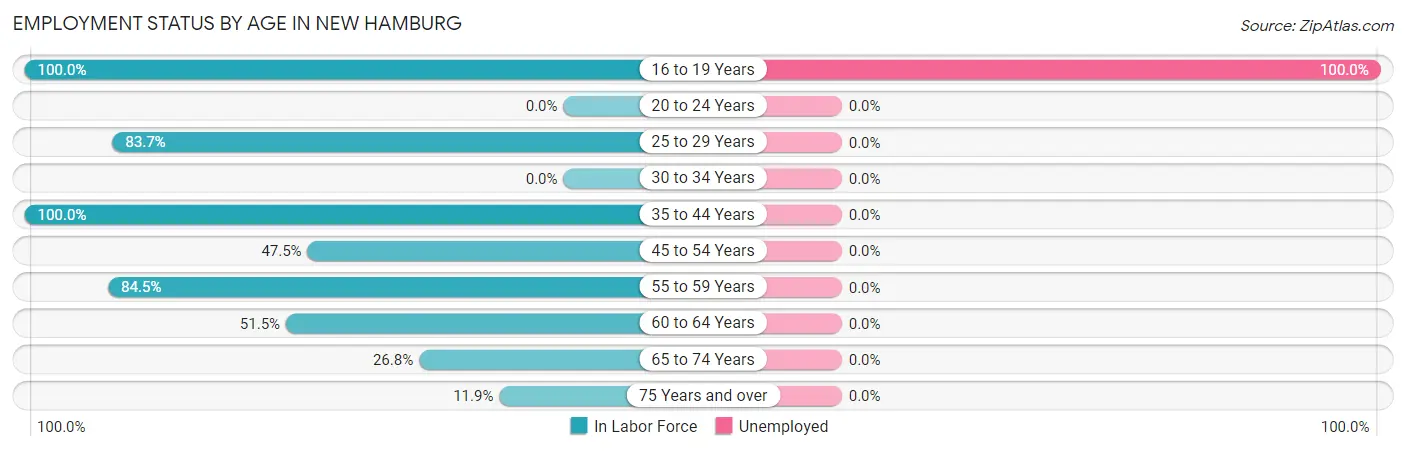 Employment Status by Age in New Hamburg