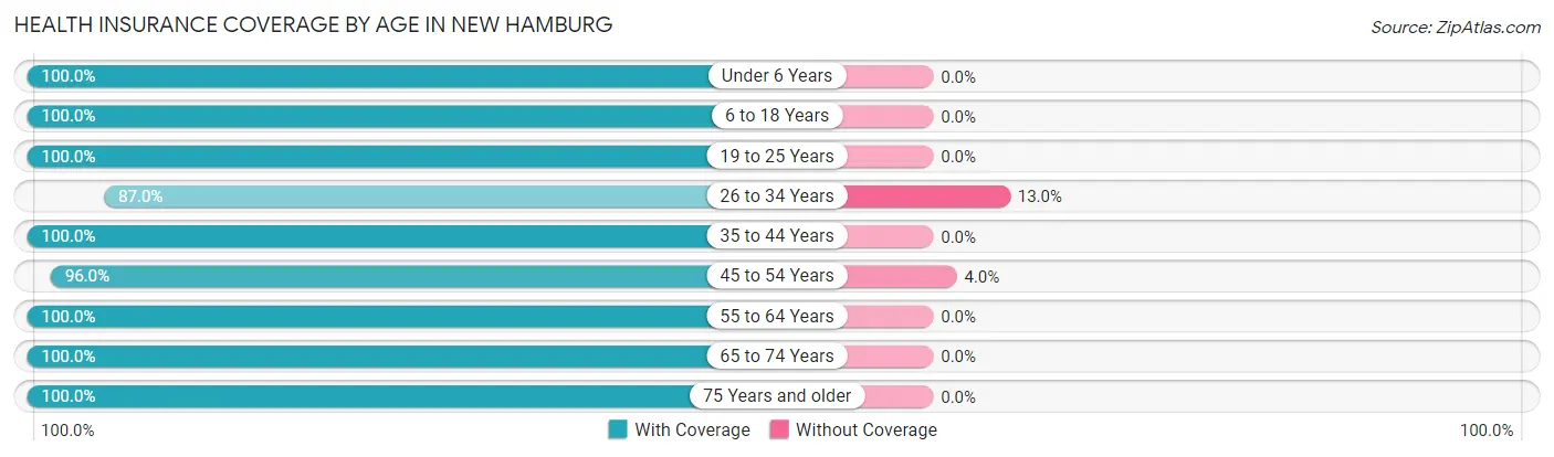 Health Insurance Coverage by Age in New Hamburg