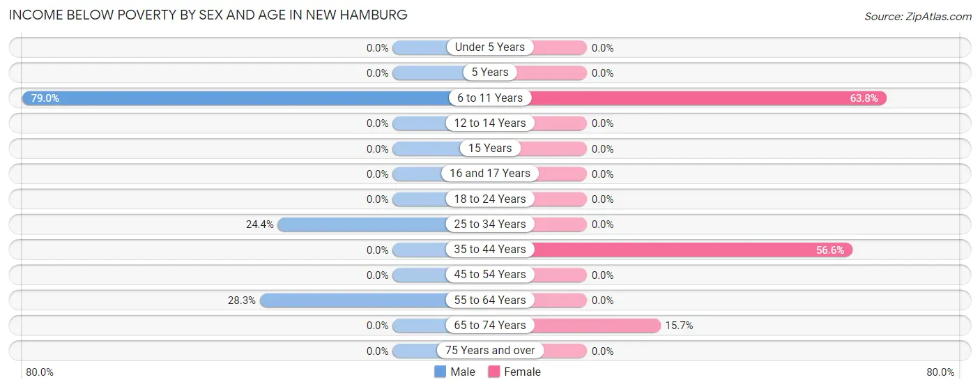 Income Below Poverty by Sex and Age in New Hamburg