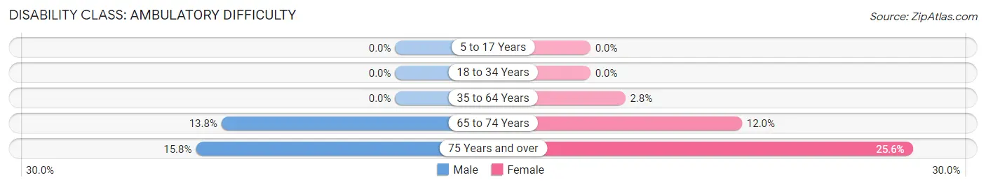 Disability in New Hempstead: <span>Ambulatory Difficulty</span>