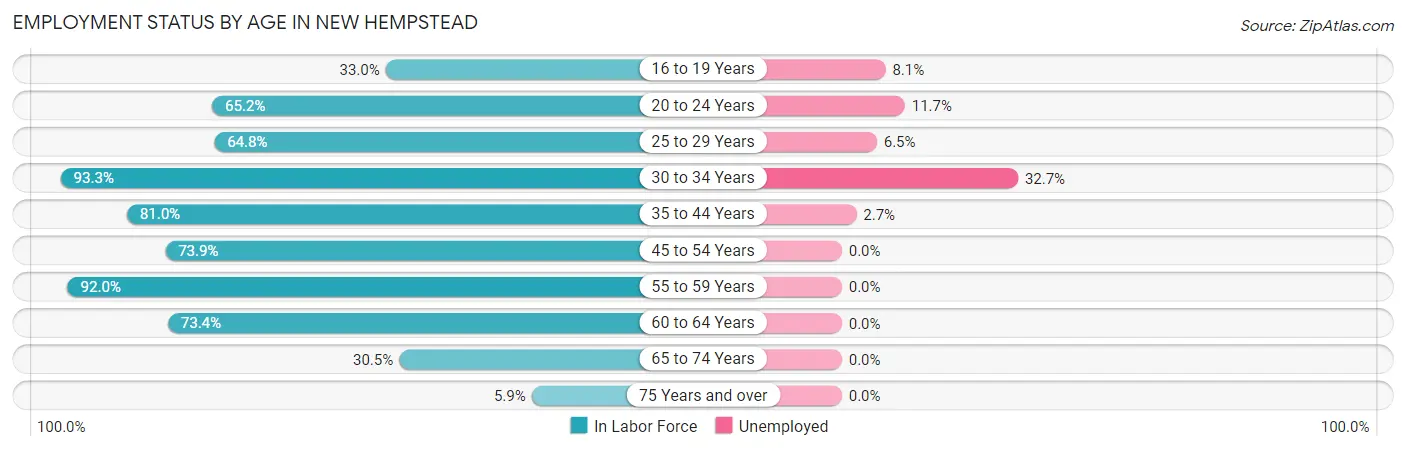 Employment Status by Age in New Hempstead