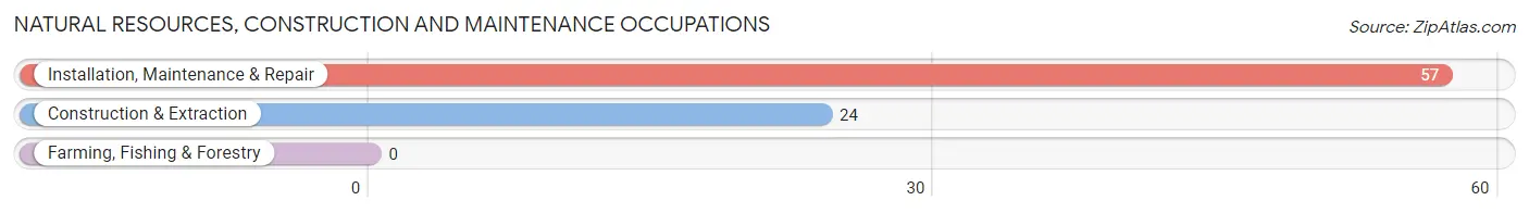 Natural Resources, Construction and Maintenance Occupations in New Hempstead