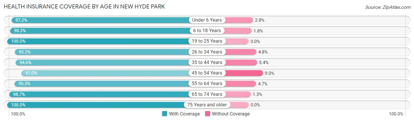 Health Insurance Coverage by Age in New Hyde Park