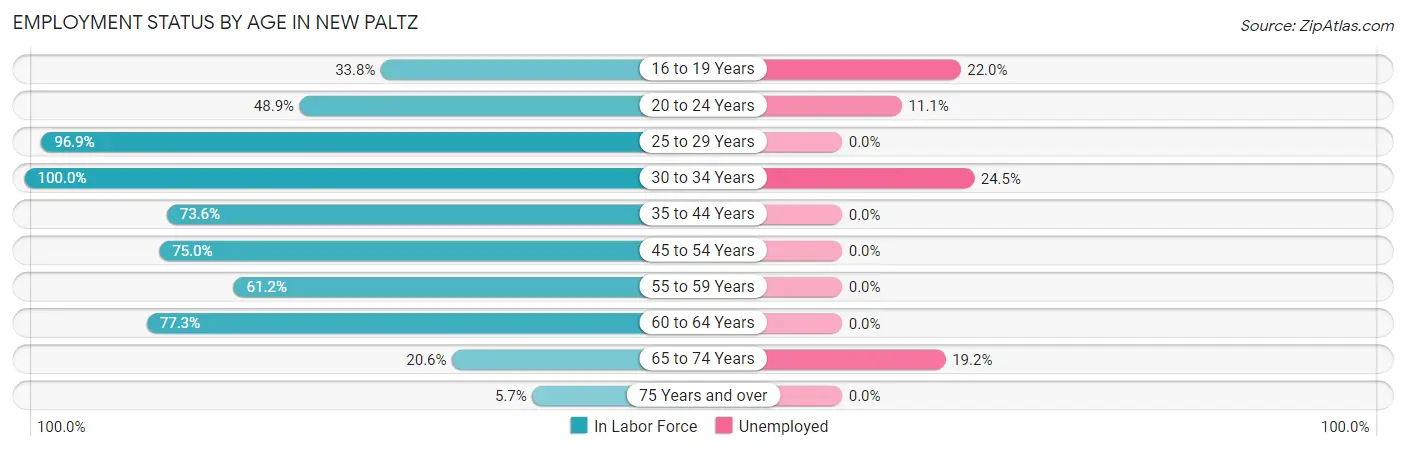 Employment Status by Age in New Paltz