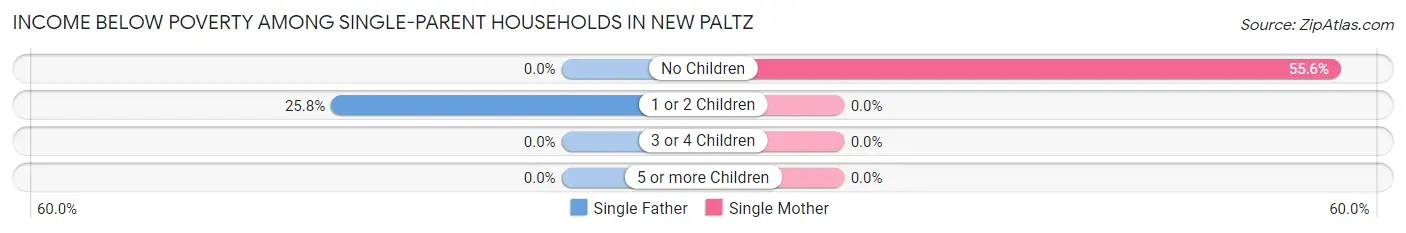 Income Below Poverty Among Single-Parent Households in New Paltz