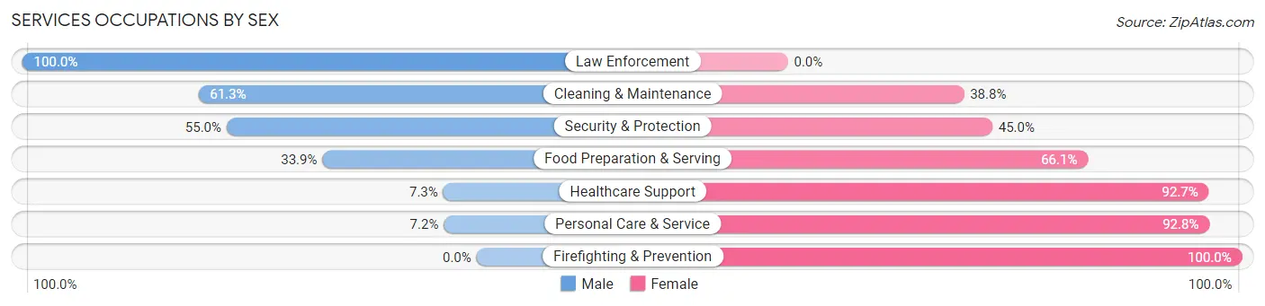 Services Occupations by Sex in New Paltz
