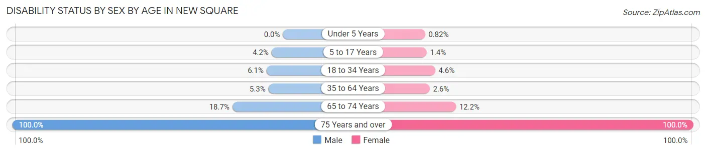 Disability Status by Sex by Age in New Square