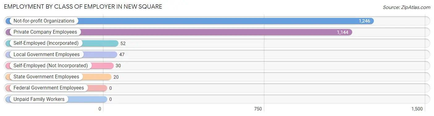 Employment by Class of Employer in New Square