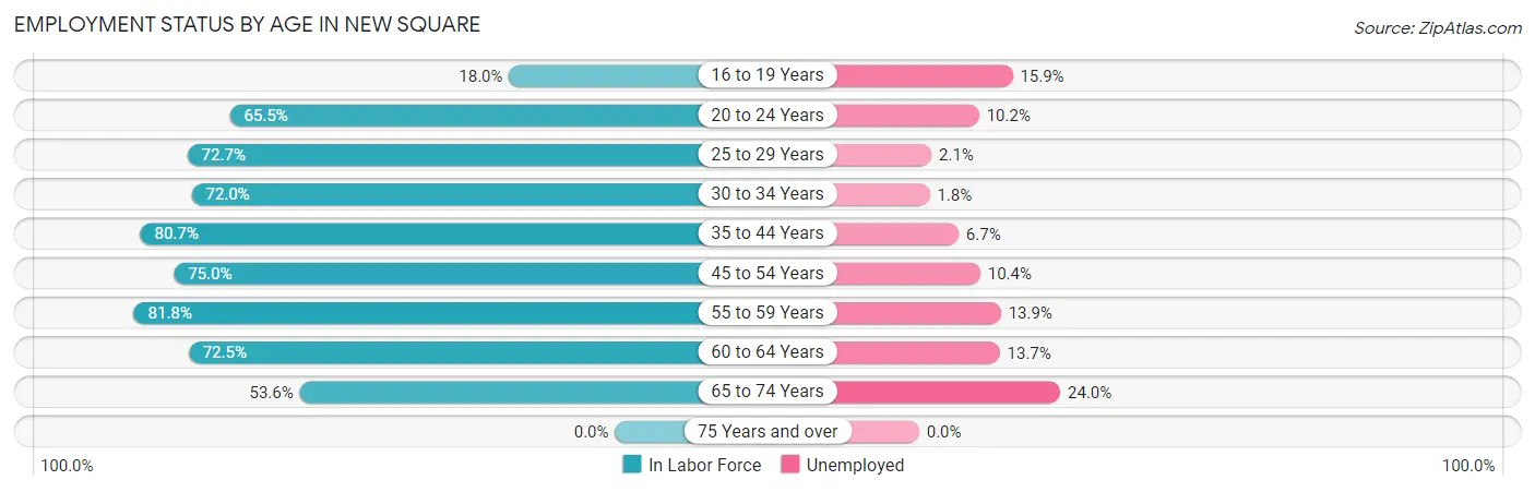 Employment Status by Age in New Square