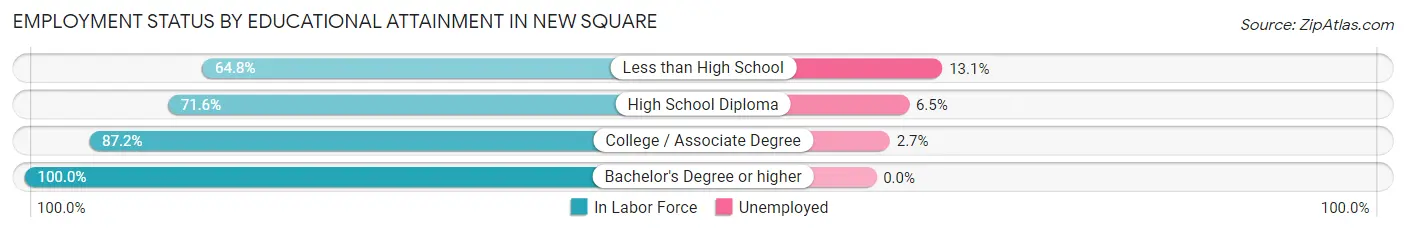 Employment Status by Educational Attainment in New Square
