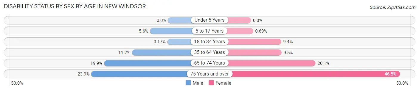 Disability Status by Sex by Age in New Windsor