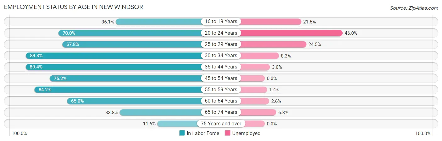 Employment Status by Age in New Windsor