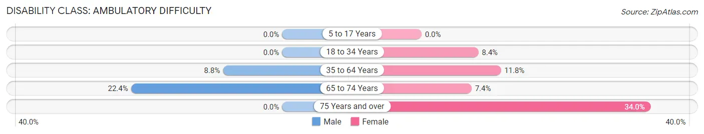 Disability in New York Mills: <span>Ambulatory Difficulty</span>