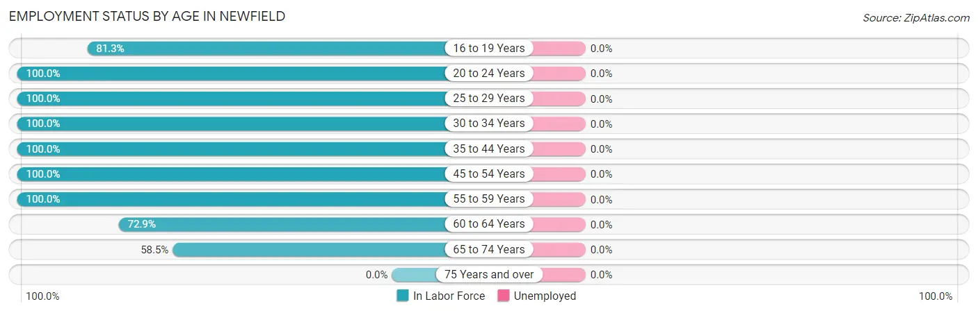 Employment Status by Age in Newfield