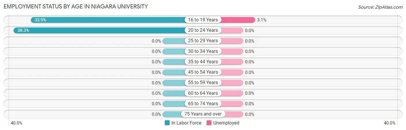 Employment Status by Age in Niagara University