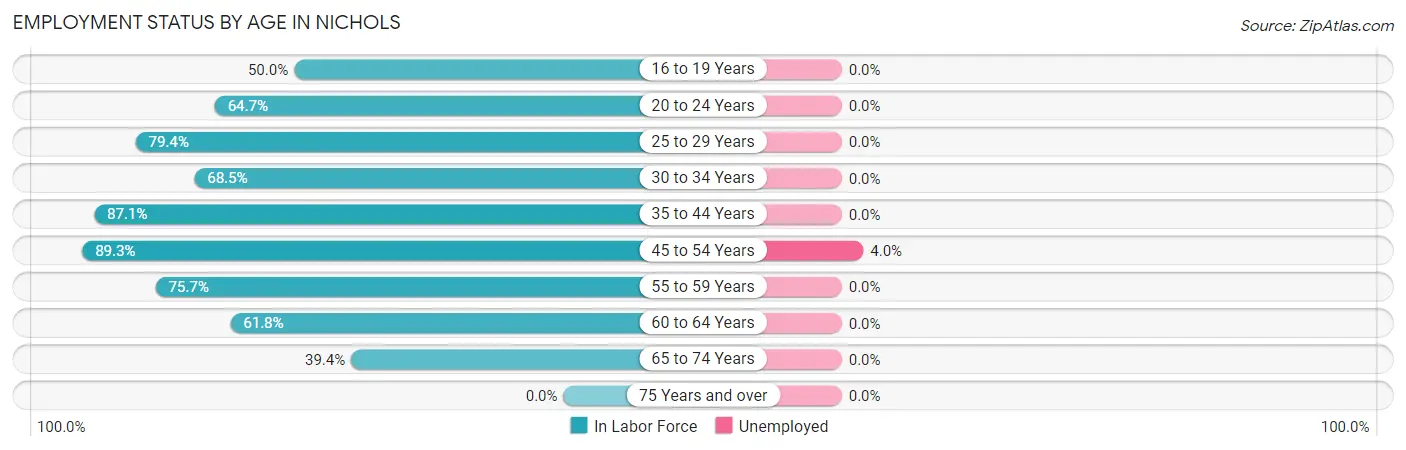 Employment Status by Age in Nichols