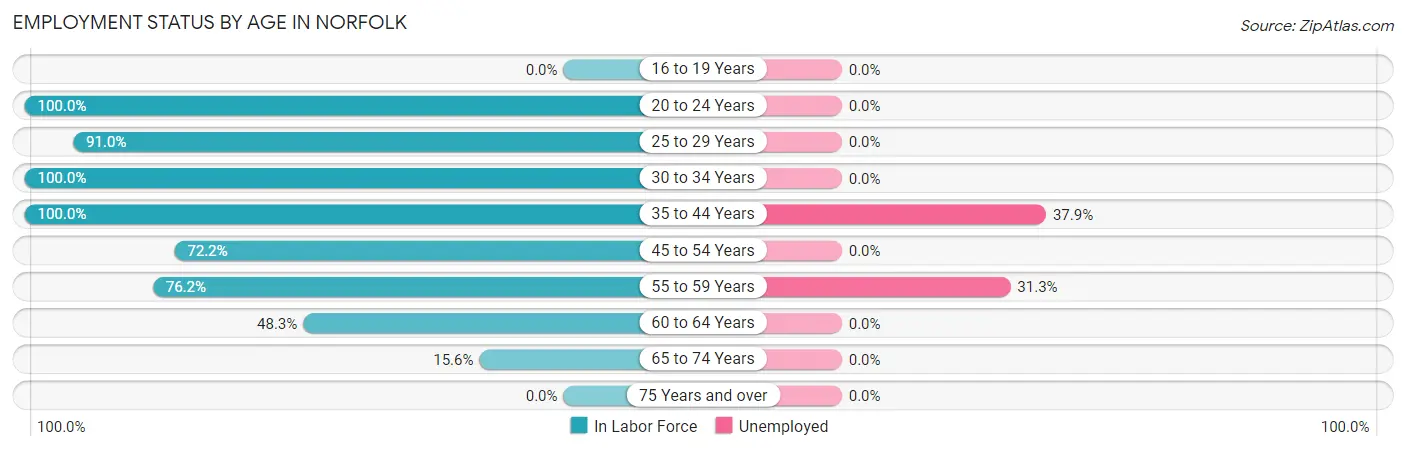 Employment Status by Age in Norfolk