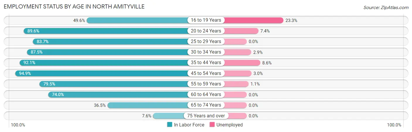 Employment Status by Age in North Amityville