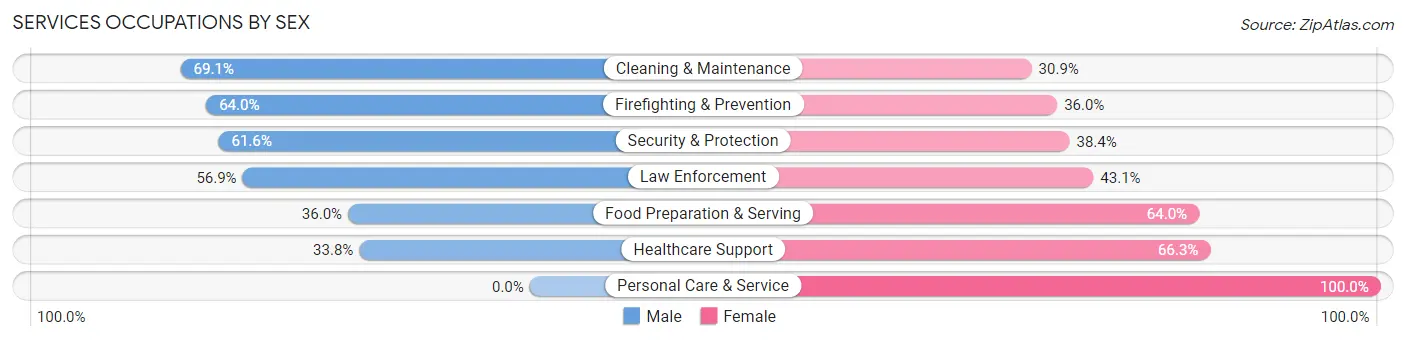 Services Occupations by Sex in North Amityville