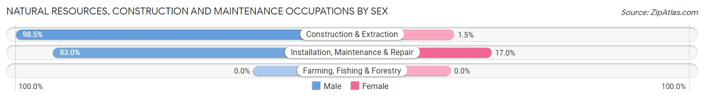 Natural Resources, Construction and Maintenance Occupations by Sex in North Babylon