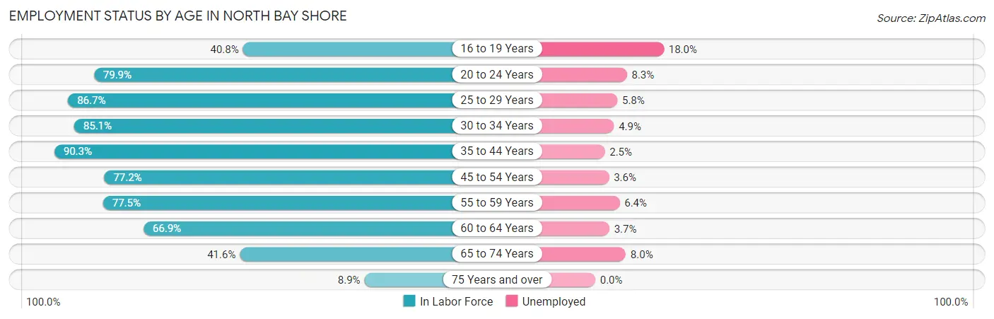 Employment Status by Age in North Bay Shore