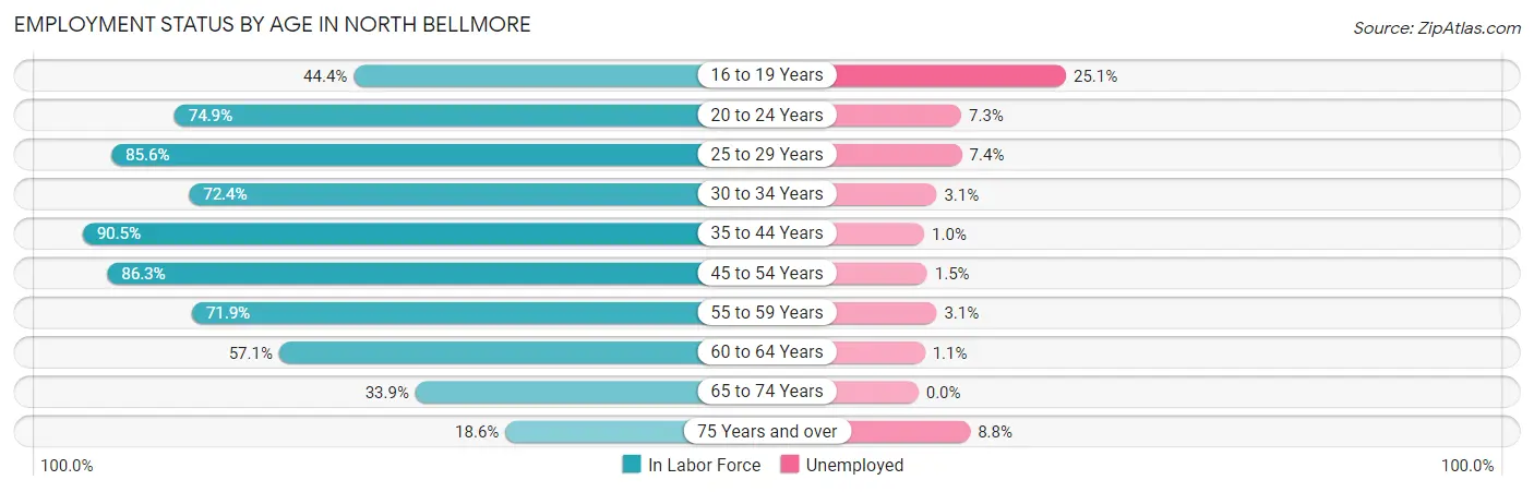 Employment Status by Age in North Bellmore