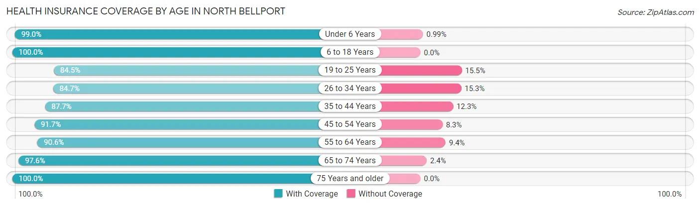 Health Insurance Coverage by Age in North Bellport