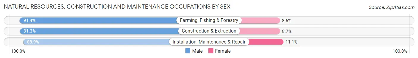 Natural Resources, Construction and Maintenance Occupations by Sex in North Bellport