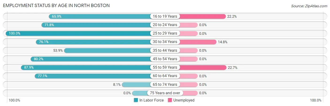 Employment Status by Age in North Boston