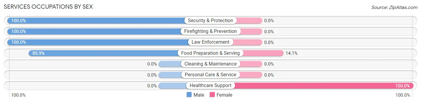 Services Occupations by Sex in North Boston