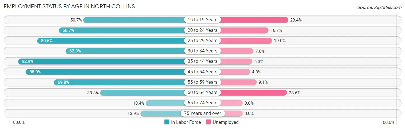 Employment Status by Age in North Collins