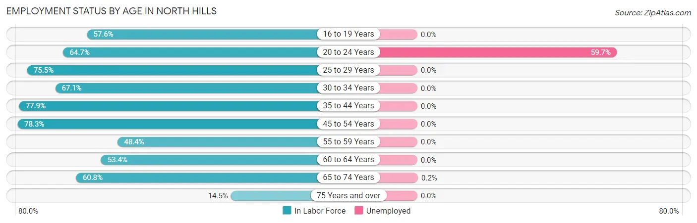 Employment Status by Age in North Hills
