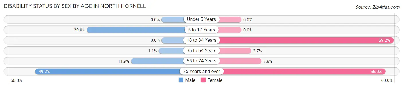Disability Status by Sex by Age in North Hornell
