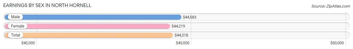 Earnings by Sex in North Hornell