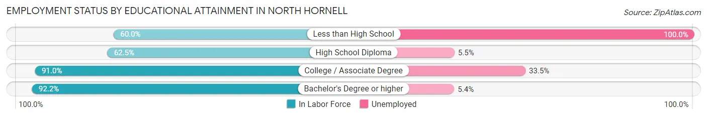 Employment Status by Educational Attainment in North Hornell