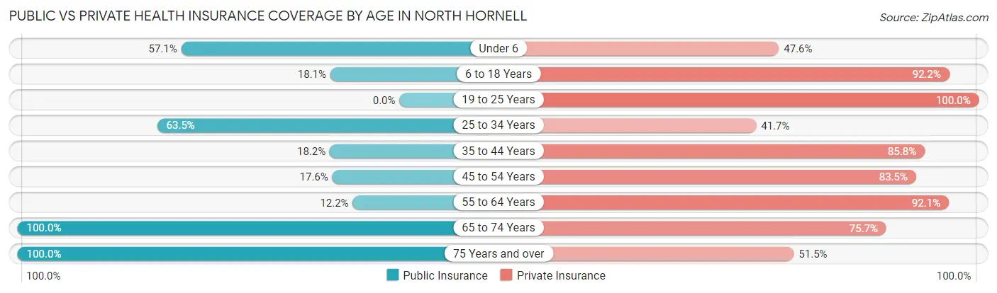 Public vs Private Health Insurance Coverage by Age in North Hornell