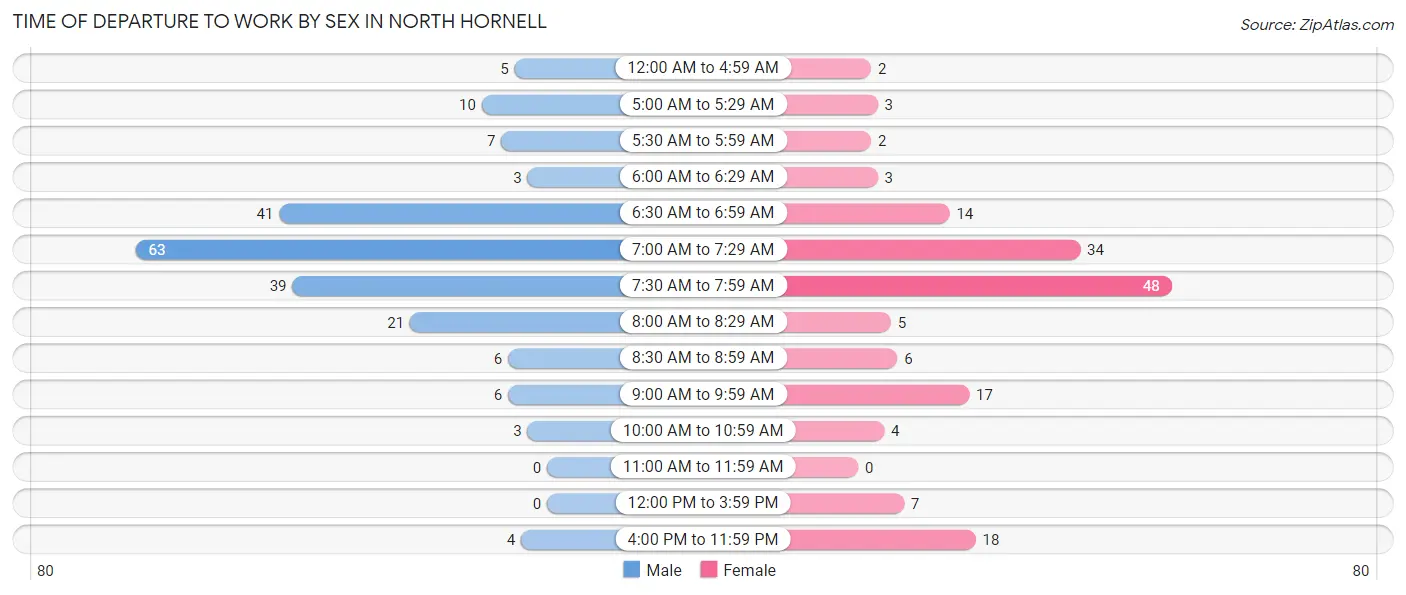 Time of Departure to Work by Sex in North Hornell