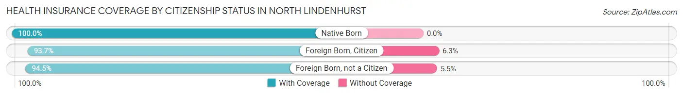 Health Insurance Coverage by Citizenship Status in North Lindenhurst