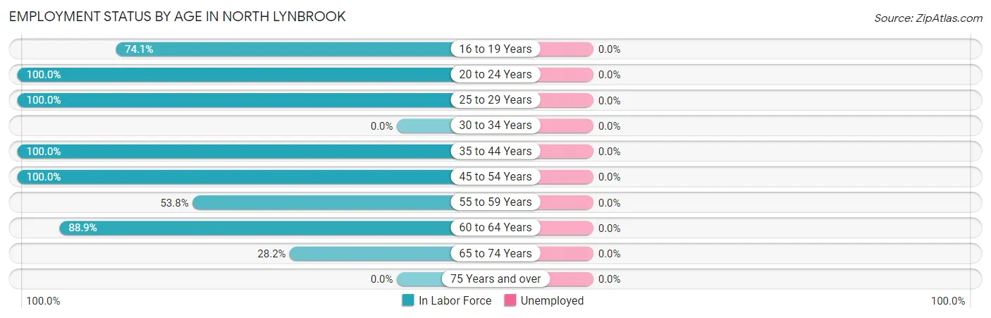 Employment Status by Age in North Lynbrook