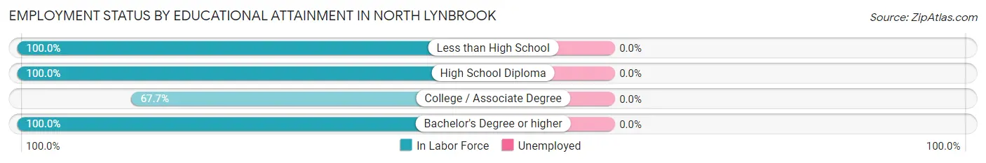 Employment Status by Educational Attainment in North Lynbrook
