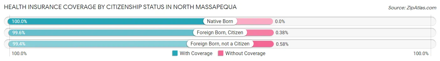 Health Insurance Coverage by Citizenship Status in North Massapequa