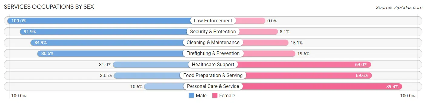 Services Occupations by Sex in North Massapequa