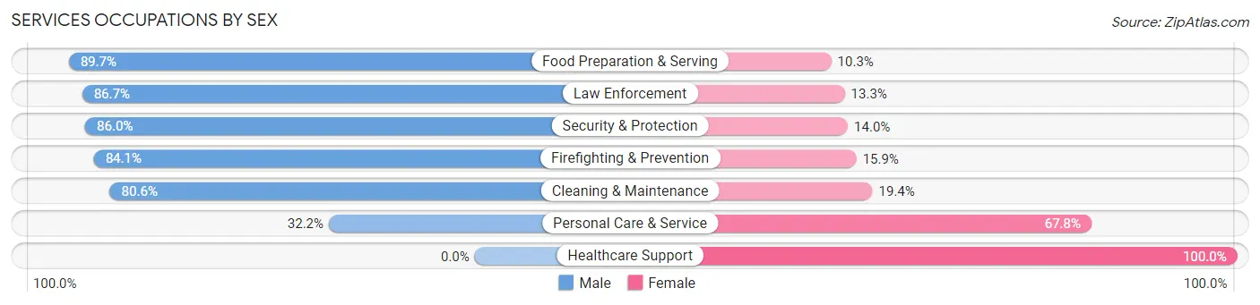Services Occupations by Sex in North Merrick